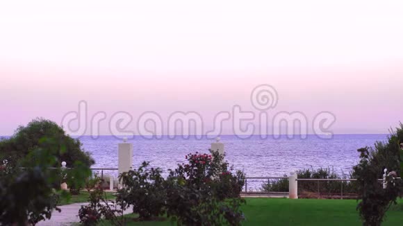 美丽的粉红色晨曦在海上视频的预览图