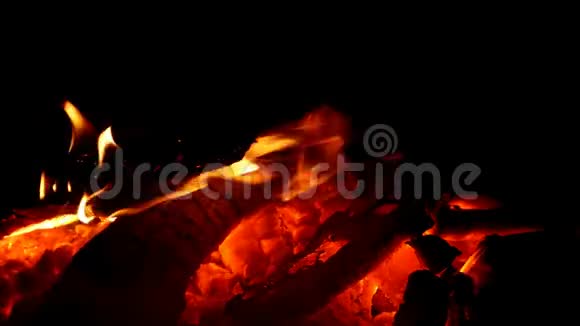 令人着迷的篝火火焰和红火煤视频的预览图