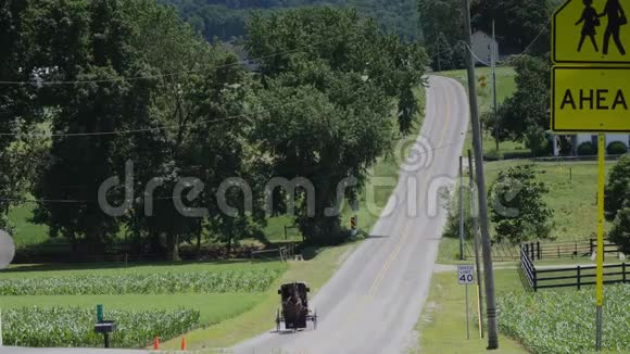 一匹阿米什马和马车在乡间的路上骑着视频的预览图