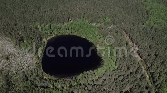 神奇的自然现象圆湖在森林中央4K型空中射击视频的预览图