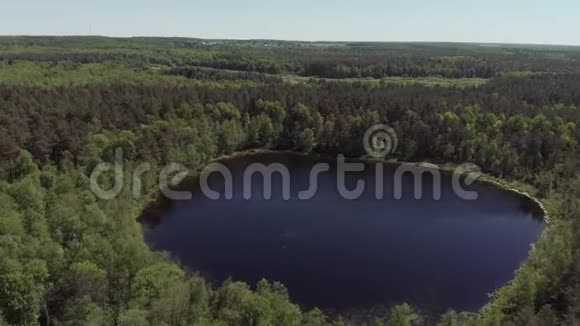 神奇的自然现象圆湖在森林中央4K型空中射击视频的预览图