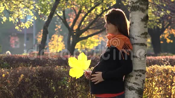 迷人的孕妇玩黄秋叶摸肚享受美丽的自然视频的预览图