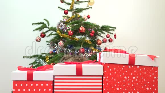 利用儿童隐藏游戏和布置礼品盒背景圣诞树视频的预览图
