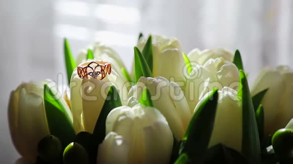 白色郁金香为背景一束白色郁金香上的结婚戒指太阳的光芒落在一束白色的阳光上视频的预览图