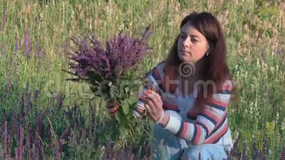 美丽的女人舔着田野的花朵在森林中的早晨坐在冰川上收集着一朵玉米花束视频的预览图