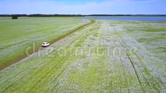 从荞麦田到湖泊之间的空中运动视频的预览图