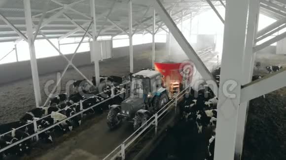 在拖拉机上的人在棚子里喂牛俯视视频的预览图