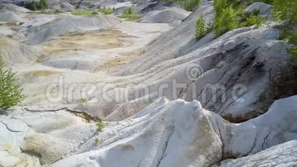 陡峭的峡谷形成在老泥土坑与稀有植物视频的预览图