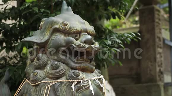 东京阿塔哥神社的雕像守护犬特写视频的预览图