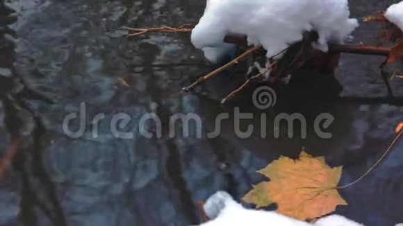 深秋一片落下来的黄色枫叶在溪流中第一场雪视频的预览图