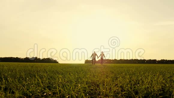 幸福的年轻夫妇牵着手在夕阳的背景下穿过一片广阔的田野村庄一男一女奔跑视频的预览图