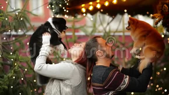 有几个情人和一只可爱的狗拥抱在一起他们在一起心情很好穿着的病房身后的圣诞灯视频的预览图
