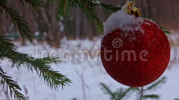 冬季公园云杉树枝上的圣诞玩具视频的预览图