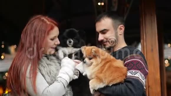 有几个情人和一只可爱的狗拥抱在一起他们在一起心情很好穿着的病房身后的圣诞灯视频的预览图