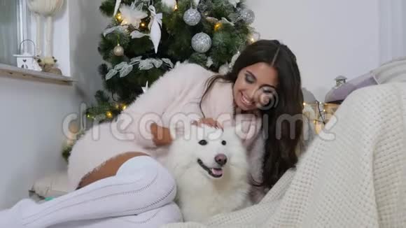 假期微笑的年轻女子穿着舒适的毛衣在圣诞树附近抚摸一只毛茸茸的白色狗视频的预览图