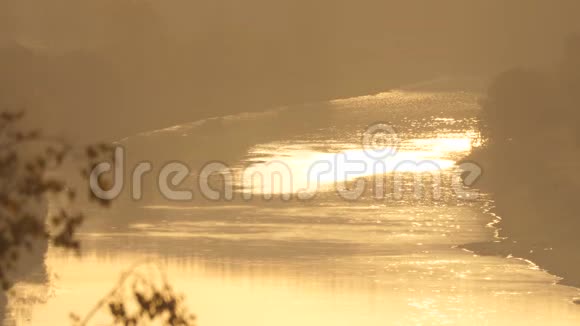静态视图雾状日出宁静的河流视频的预览图