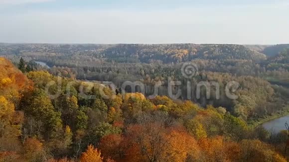 秋日图拉伊达城堡的锡古尔达郊区景观全景10月在拉脱维亚视频的预览图