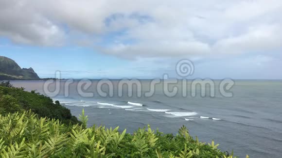 夏威夷考艾岛春季的雨天和阴天视频的预览图