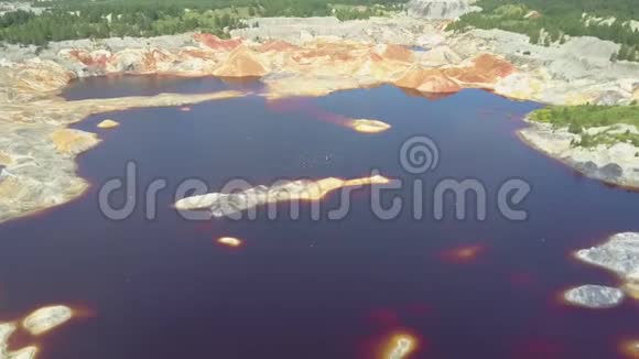 Flycam与鸟在泥坑上靠近蓝色池塘水视频的预览图
