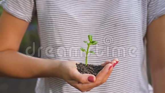 保护小植物的手视频的预览图
