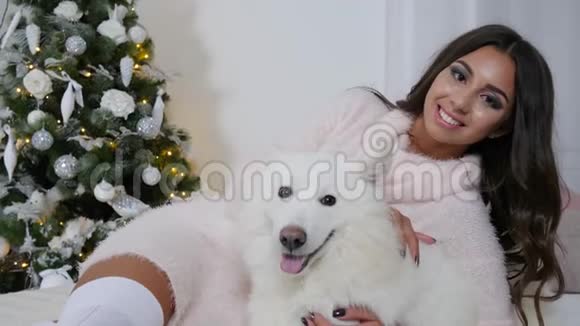 穿着长毛衣的快乐女孩躺在地板上在新年树的背景下躺在白色的狗旁边视频的预览图
