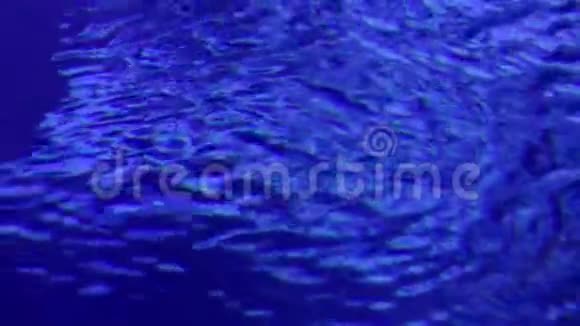 蓝色水面背景海面背景中的小波视频的预览图
