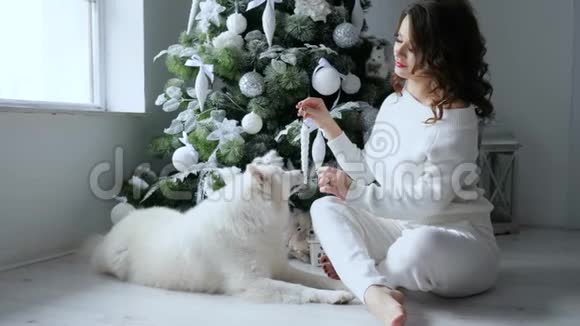 除夕夜女孩坐在宠物旁边用白色玩具装饰圣诞树气氛温馨视频的预览图
