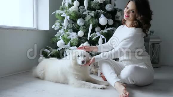 新年前夕圣诞女孩在圣诞树背景上摆着宠物在舒适的气氛中摆放白色玩具视频的预览图
