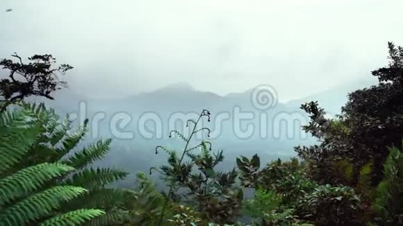 热带山景在丛林中带着一片蓝天云雾缭绕视频的预览图