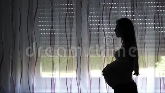 4看窗户的孕妇剪影视频的预览图