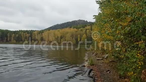 阿拉库尔湖在车里雅宾斯克地区的秋日美丽多彩的树木叶子和水面上的倒影视频的预览图