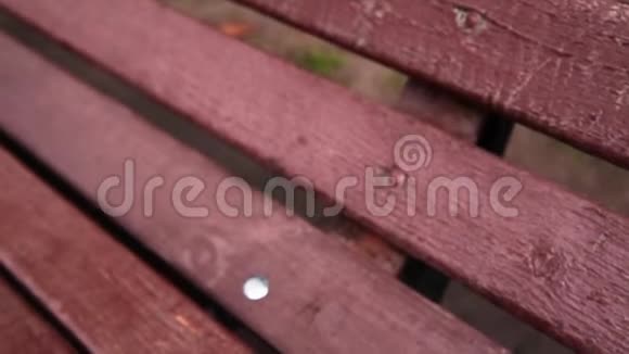 黄秋叶在长椅上视频的预览图
