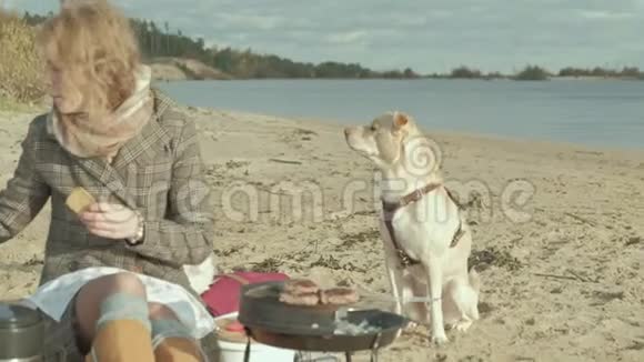 一位穿着外套的年轻女子坐在河边的海滩上大海里野餐在烤架上煮肉一只狗坐着视频的预览图