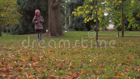女孩宝宝在公园的草坪上散步一个女孩放学后在公园散步视频的预览图