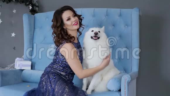 圣诞狗靠近主人摆姿势坐在蓝色沙发上拍照视频的预览图
