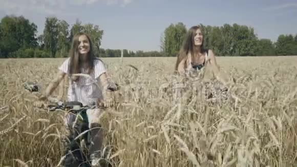 骑自行车的妇女骑着麦田视频的预览图