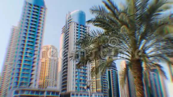 生长在迪拜高层建筑背景上的棕榈树视频的预览图