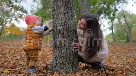 家庭游戏年轻女子和小男孩在秋天公园的树旁玩捉迷藏视频的预览图
