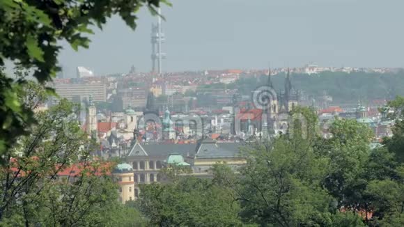 在阳光明媚的春天布拉格市的景色树枝在两边视频的预览图