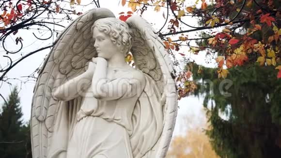 秋叶背景下的白色天使视频的预览图