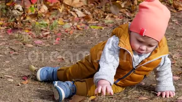 秋天小男孩坐在地上在户外玩棍子好奇的孩子视频的预览图