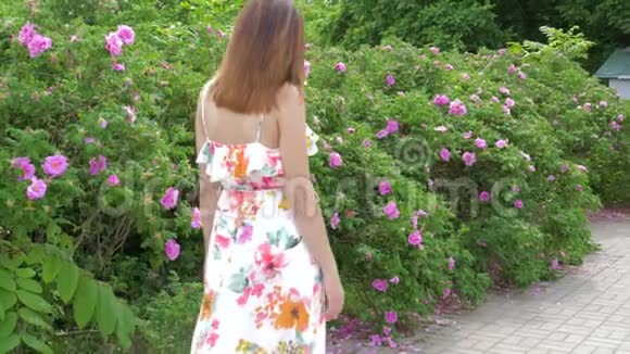 年轻女子走在鲜花盛开的灌木丛旁美丽的粉色玫瑰花视频的预览图