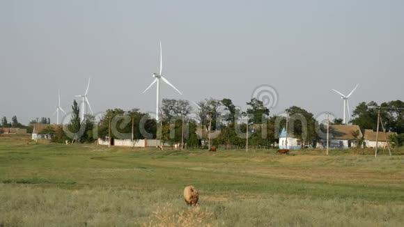 风力涡轮机背景下的村庄视频的预览图