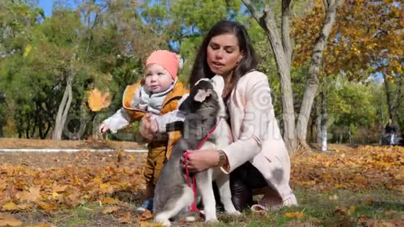 年轻女子在树叶的背景下拥抱小儿子和哈士奇狗在秋天公园度过了快乐的家庭假期视频的预览图