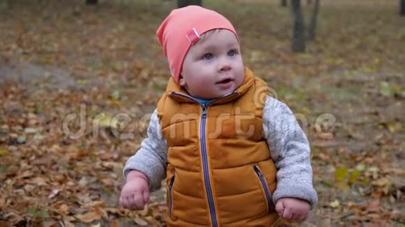 秋天公园里穿暖和衣服的孩子在树叶模糊背景下的肖像视频的预览图