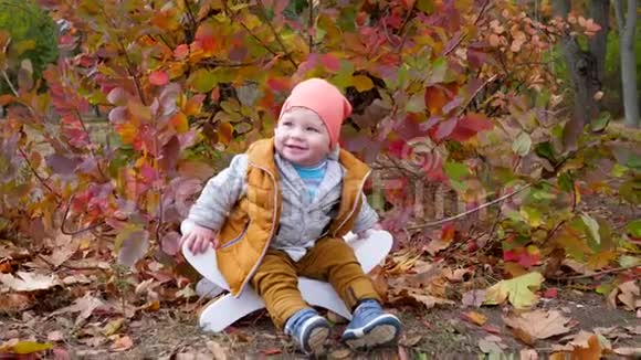 在秋天的城市公园里快乐的孩子坐在小椅子上背景是一棵黄叶树视频的预览图