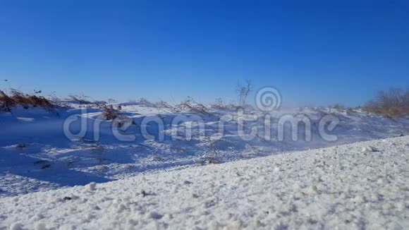 雪从路边的田野飘来刮着雪风轻风吹雪朝相机视频的预览图