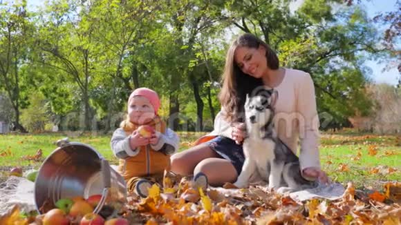 一家人闲着小家伙抱着苹果在妈妈身边狗在树叶旁的一个秋天公园里放着一桶果视频的预览图