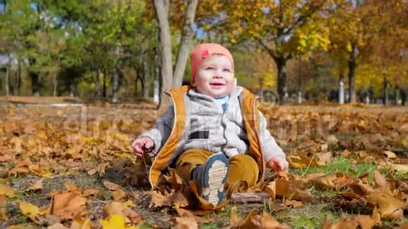 秋天公园里小男孩在草地上摇着头手里拿着黄叶视频的预览图