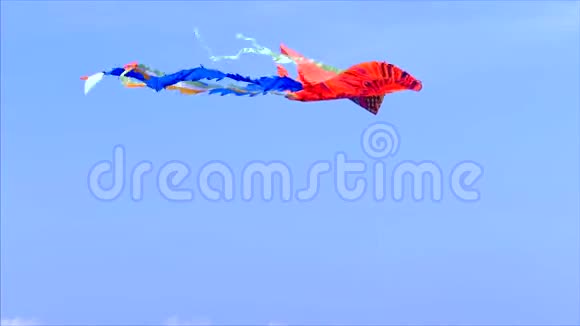 特写慢镜头画面一只风筝在阳光明媚的日子里在蓝天白云和蓝色的映衬下在空中飞翔视频的预览图